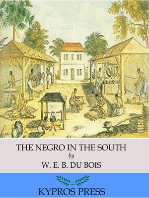 cover image of The Negro in the South